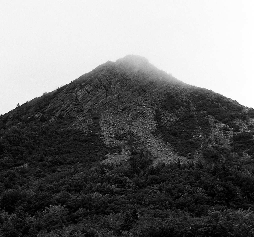 “The Hill We Climb”, Amanda&nbsp;Gorman.